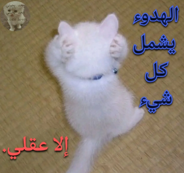 XOXO (@halaxxxx_) on Twitter photo 