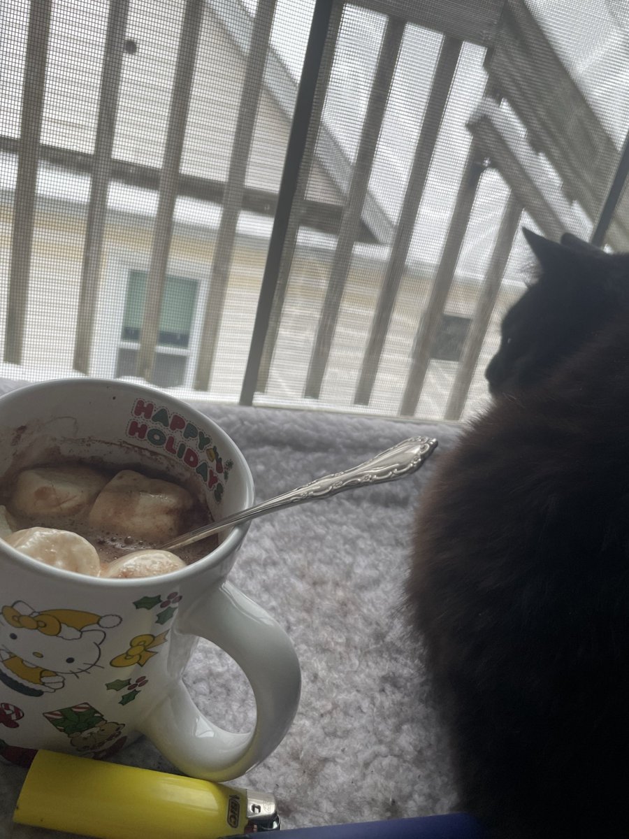 this is the whole point