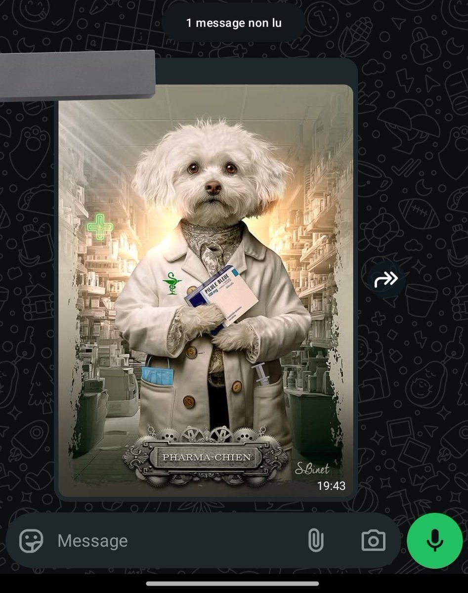 b0red_user_'s tweet image. la geule du groupe WhatsApp avec mes collègues pharmaciennes et préparatrices #SendHelp