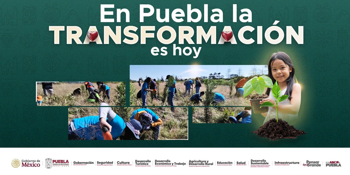 PoderNoticiaPue's tweet image. 🌍La reforestación continúa avanzando en Puebla, donde familias, voluntarios y autoridades se unen para recuperar zonas naturales y fortalecer el equilibrio ambiental. 🌱 

@Gob_Puebla @armentapuebla_ @SDRGobPue @CulturaGobPue @SSPGobPue 

#PoderNoticiaPue #DondeTuVozSeEscucha…