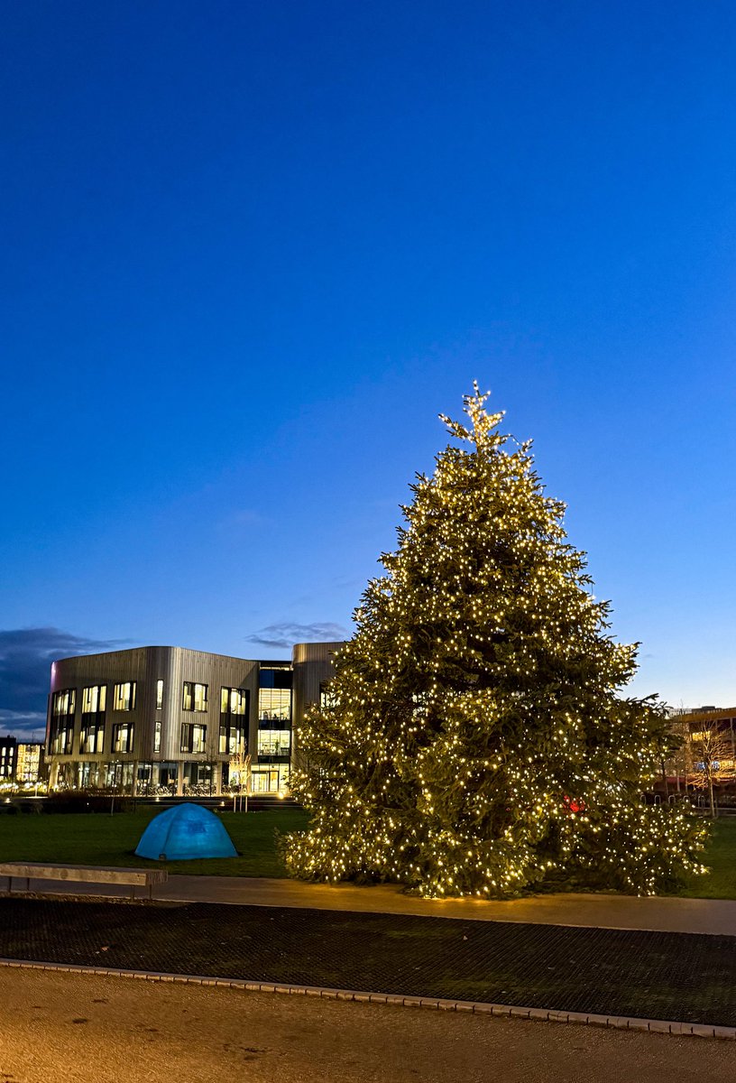 Luke Flower tweet media