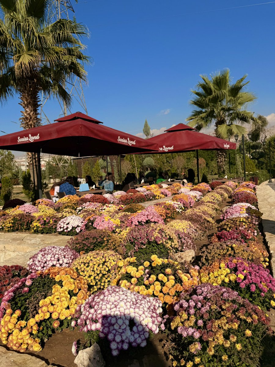 s_mziri1's tweet image. Anyone who keeps the ability to see beauty never grows old. #Franzkafka