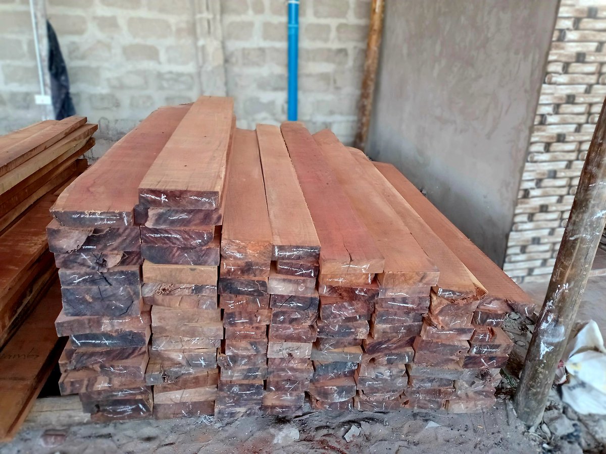 Captain Cancelo 🇧🇪 tweet media