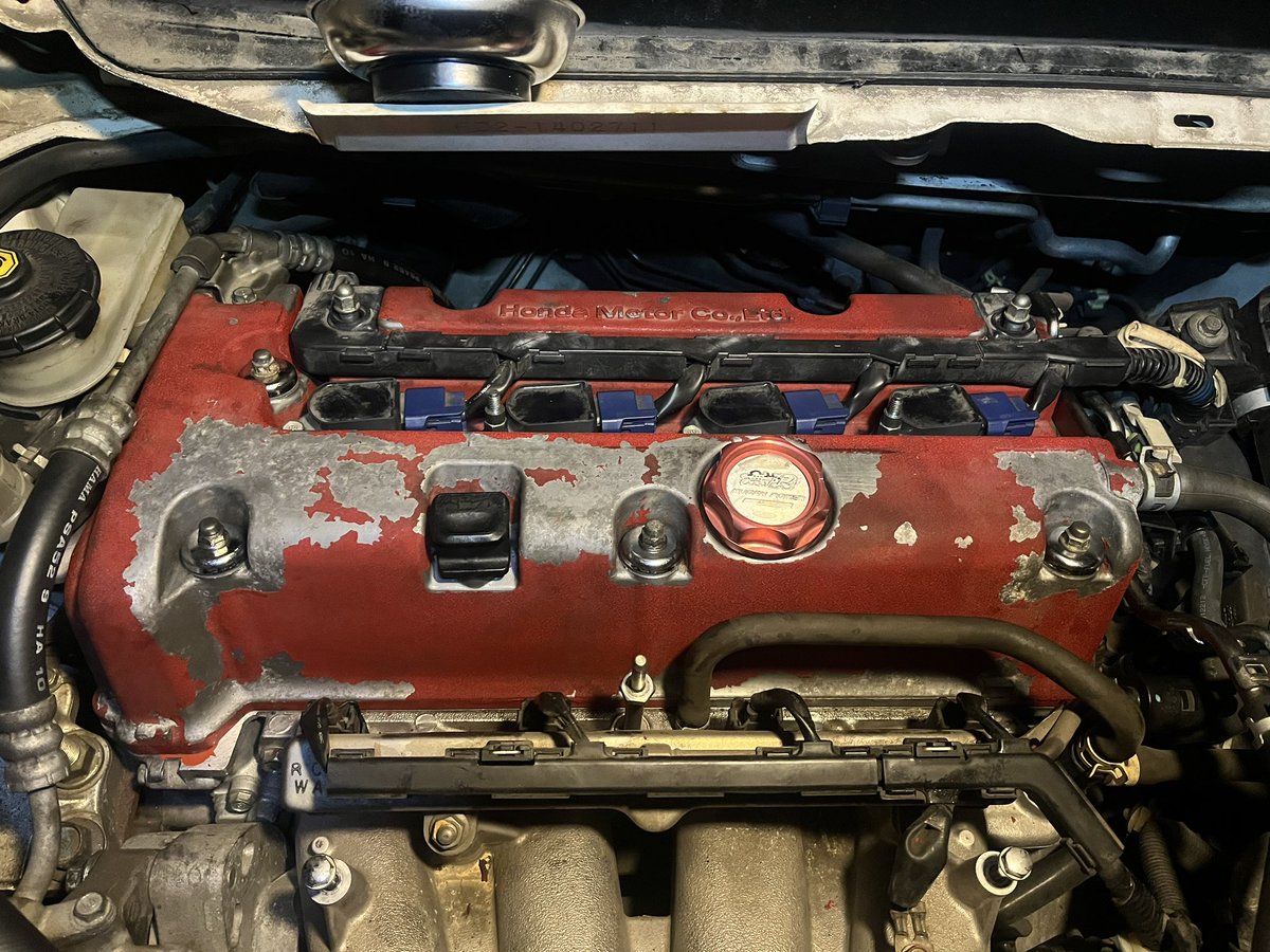 ラ*ク様 ❤️充実株❤️1256⭐️極上⭐️小輪⭐️多弁⭐️ 【オレンジ】クリス Amazon.co.jp: きまぐれオレンジ・ロード ~あの日にかえりたい : DVD