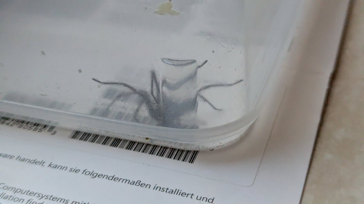 Da ist mein Untermieter. Eingefangen und ausgesetzt. 😎