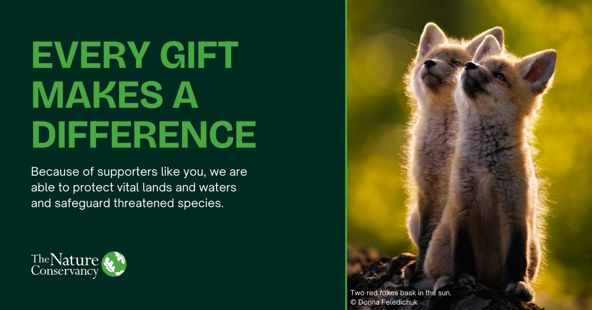 Conservancy in KY tweet media