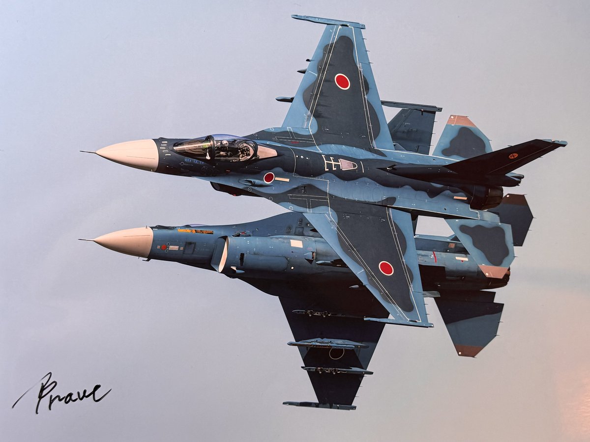 8空団オープニングフライトを見事に務めた6SQのP氏

「2022年のですか。コレは…僕のフライトではないです。はい、サインいいですよ😊」

野生味溢れる左側の隊舎チーム
男前が多めな右側の隊舎チーム

2025 築城基地航空祭