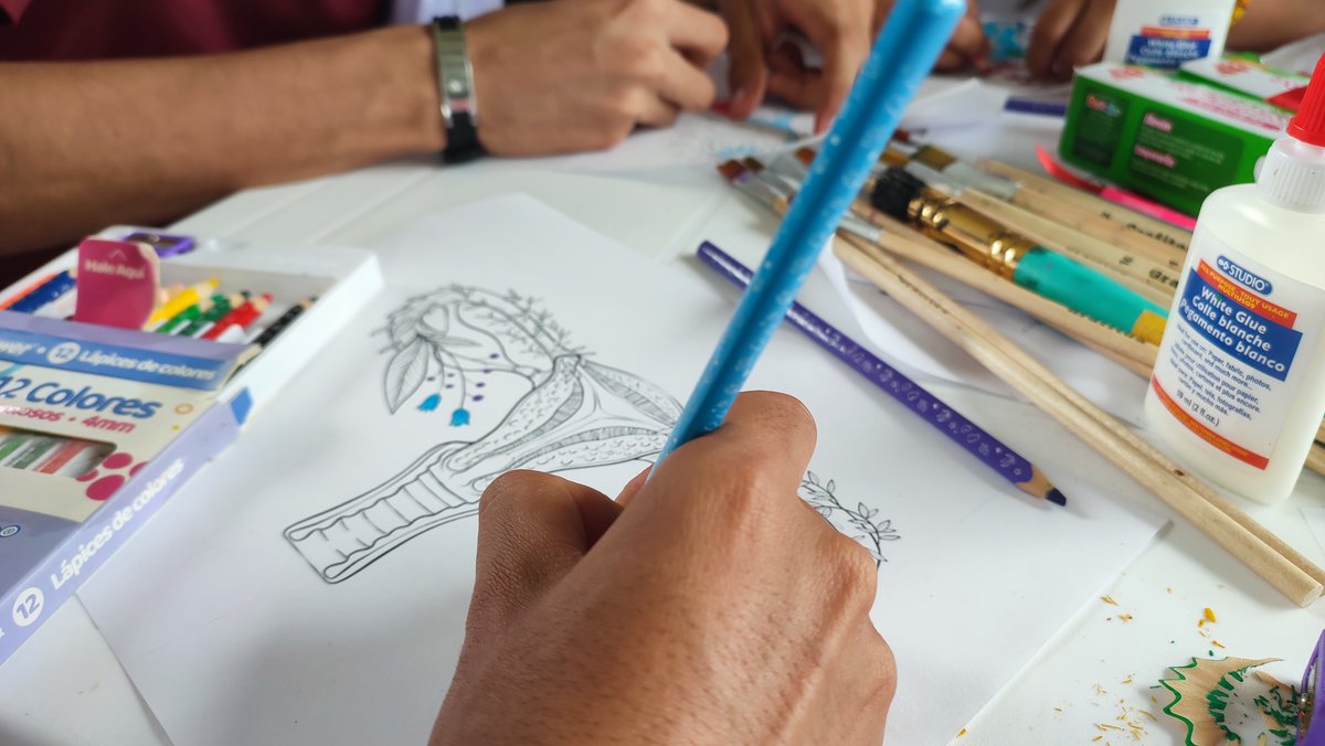 UNFPAColombia's tweet photo. #16Días | Cerramos nuestro ciclo de formación en Educación Integral en Sexualidad en Solano, Caquetá, junto a @PoderosasColom2.

Con el proyecto logramos:
✅ Currículo adaptado para adolescentes de 14 a 17 años.
✅ Implementación del Índice de Poder de Decisión para medir autonomía, igualdad y diversidad.
✅ Formación en EIS a 60 docentes del departamento con apoyo de @GobCaqueta.