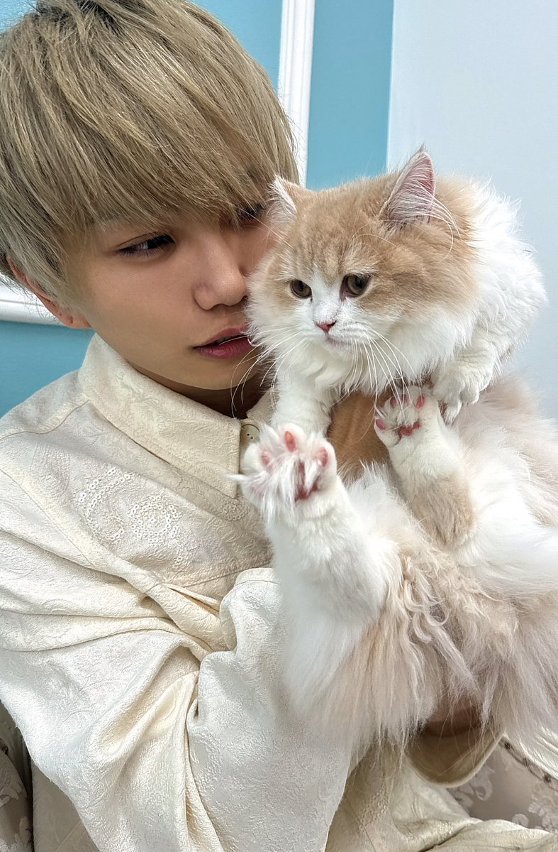 きゅん先輩はロックバンドALLHOWLで12/18LIVEをします (@kyn_0522