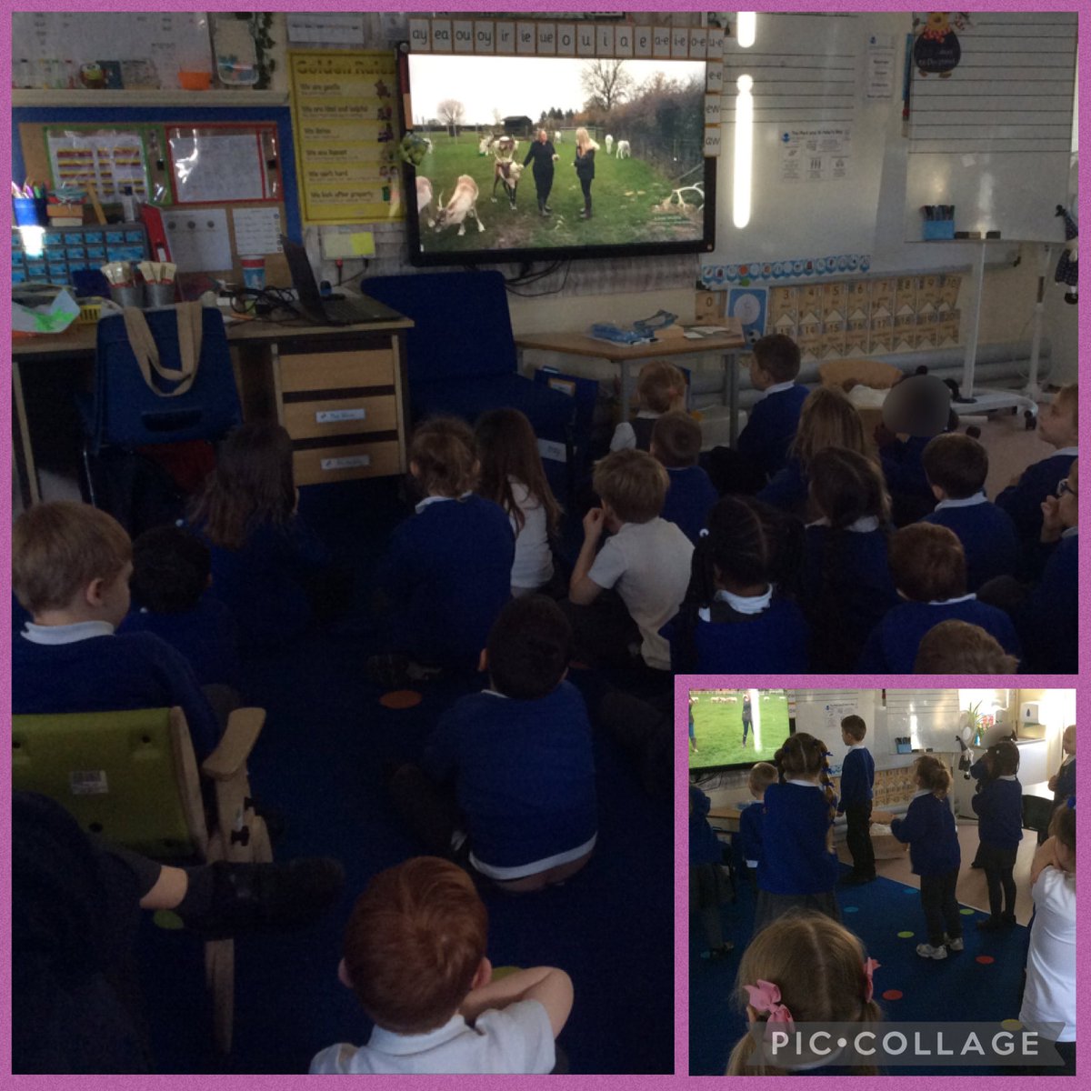 Year 1 Robin Class tweet media