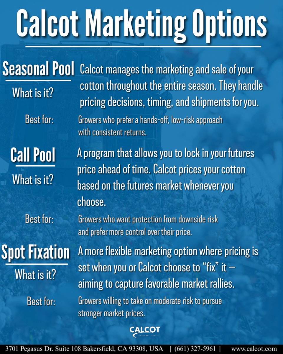 Planning for 2026? 
Calcot’s marketing programs help you manage risks and maximize returns.
Explore options at calcot.com/marketing.

 #CottonMarketing #CalcotCoop #FarmSmart