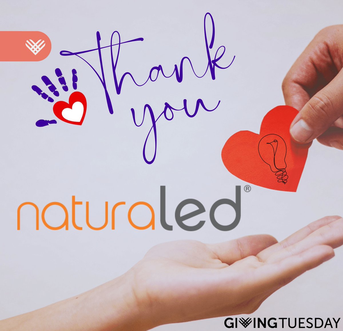 MaddogStrong's tweet photo. This Giving Tuesday, Naturaled is donating a portion of all sales and running their 6th Annual Organ Donation Registration Drive! We are so grateful for their support and honored that they are our longest running corporate partner. https://t.co/p9lJTn95IF #MaddogStrong https://t.co/FdPwRWqc6P