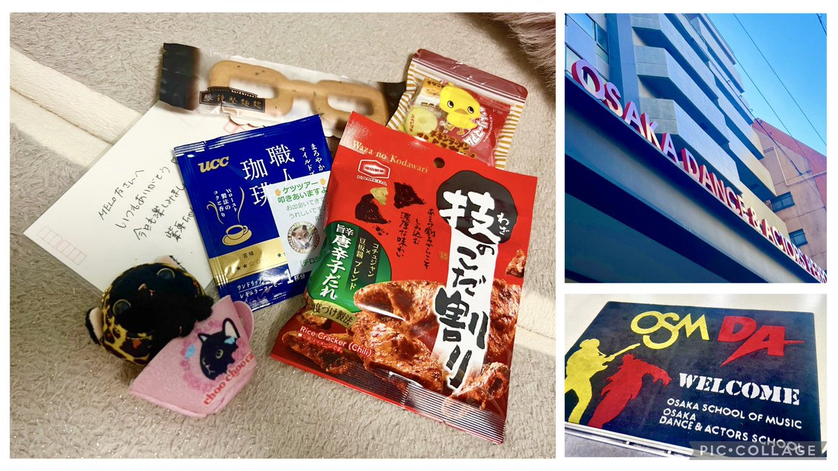 MELOGAPPAのケツをたたくツアー
