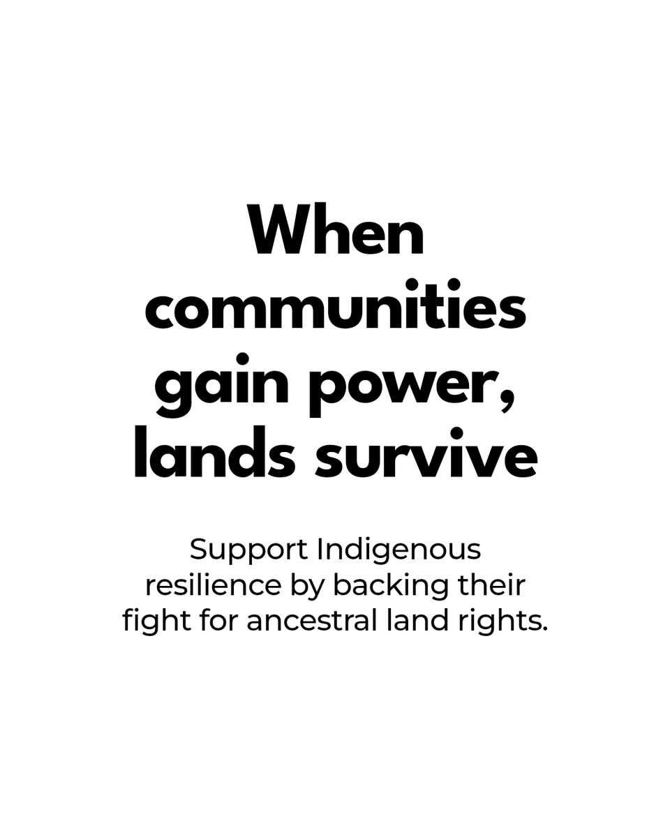 landrightsinc's tweet image. Community empowerment builds resilience. When Indigenous communities gain tools, knowledge, and legal backing, they thrive—defending ancestral lands and shaping a just future. How can you help protect the guardians of the land? #IndigenousRights #LandJustice #CommunityPower