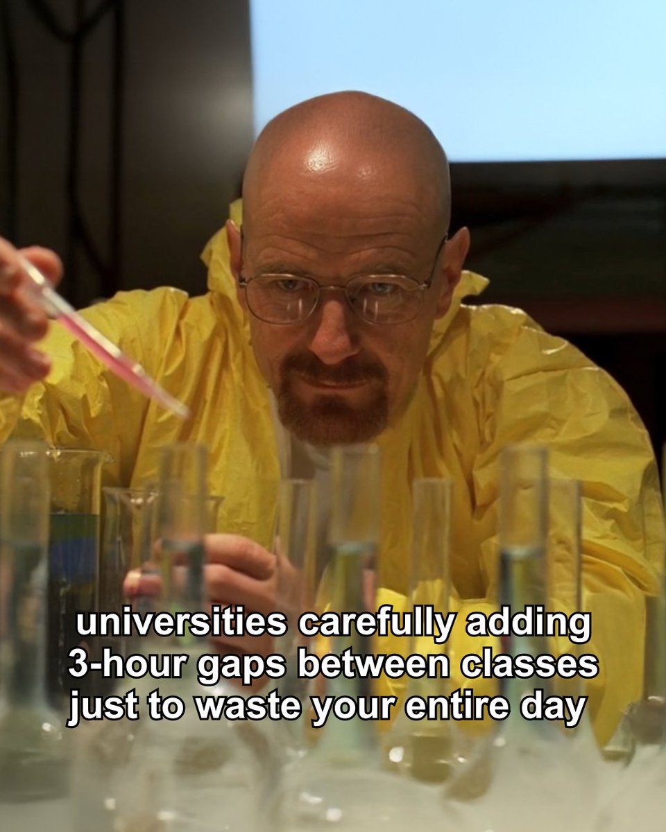 EssayPro tweet media