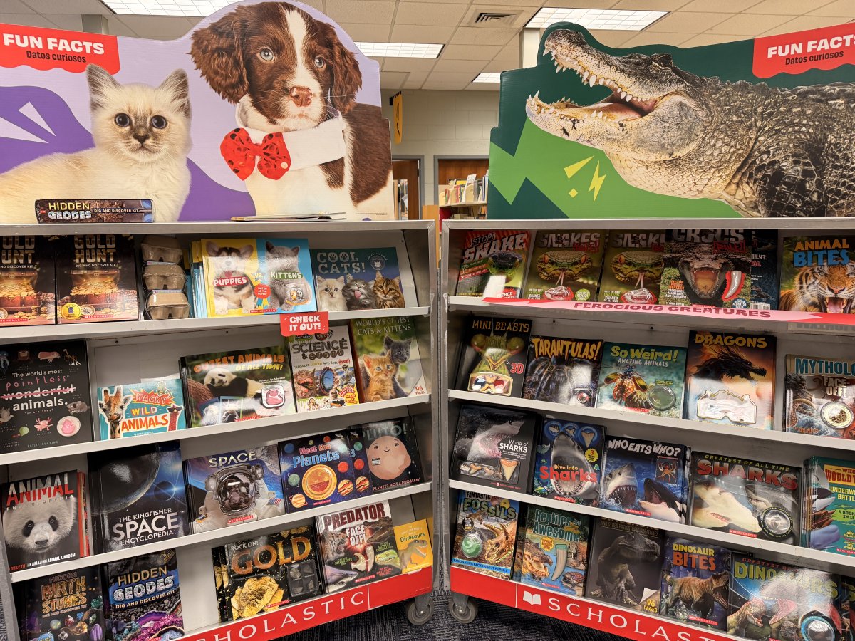 SpringfieldSD's tweet image. The Sabold Book Fair has started!  Check out Cougar Paws website for your child’s shopping time.  Family shopping night will take place on Wednesday 12/3 from 4-7.