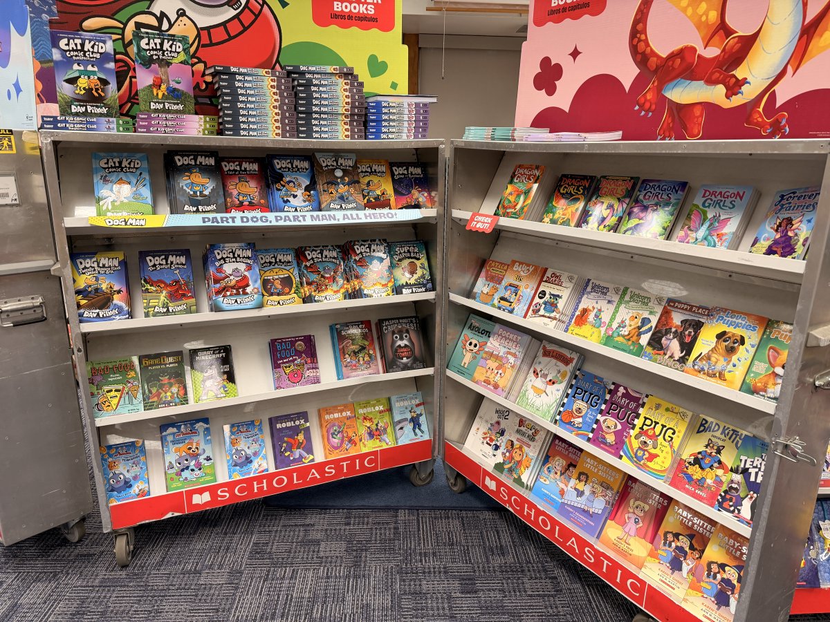 SpringfieldSD's tweet image. The Sabold Book Fair has started!  Check out Cougar Paws website for your child’s shopping time.  Family shopping night will take place on Wednesday 12/3 from 4-7.