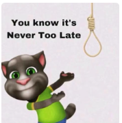 catxxy tweet media