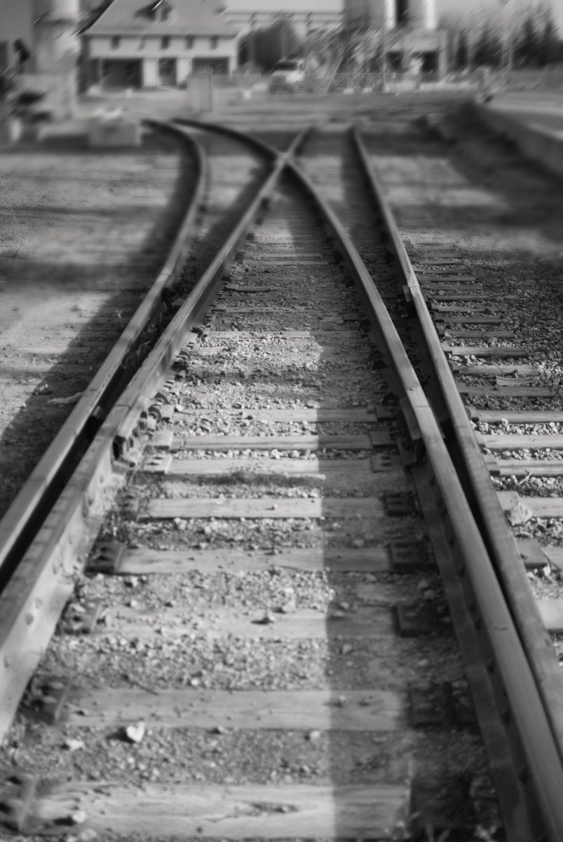 DreamingPippin's tweet photo. Every track I followed led me right here.
#BlackAndWhitePhotography #MonochromePhotography
#LeadingLines #TracksAndTrains
#StillnessInTime #JourneyContinues https://t.co/fqOItFdaR8