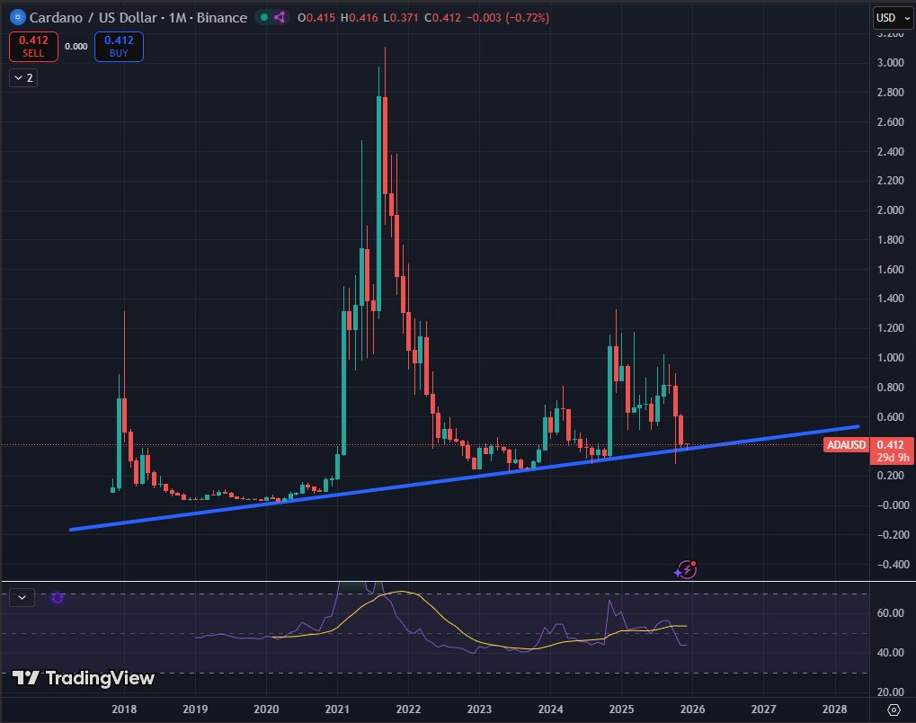 Sssebi🦁 tweet media