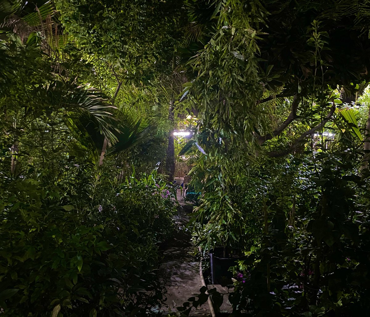 mal___8's tweet image. تشذيب 🌷