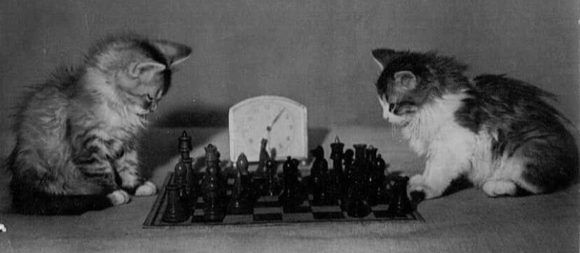 81rla's tweet image. 