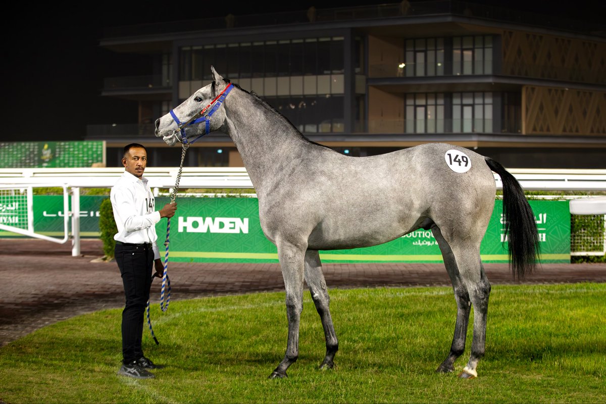 JockeyClub_SA's tweet photo. اليوم الثالث : 2025/12/2 

مهر رقم " 149 " 

ابن الفحل : فروستد

المشتري : غيث الغيث

البائع : اسطبل تمكين للسباقات 

المبلغ : 360 ألف ريال https://t.co/yWTucli6Eo