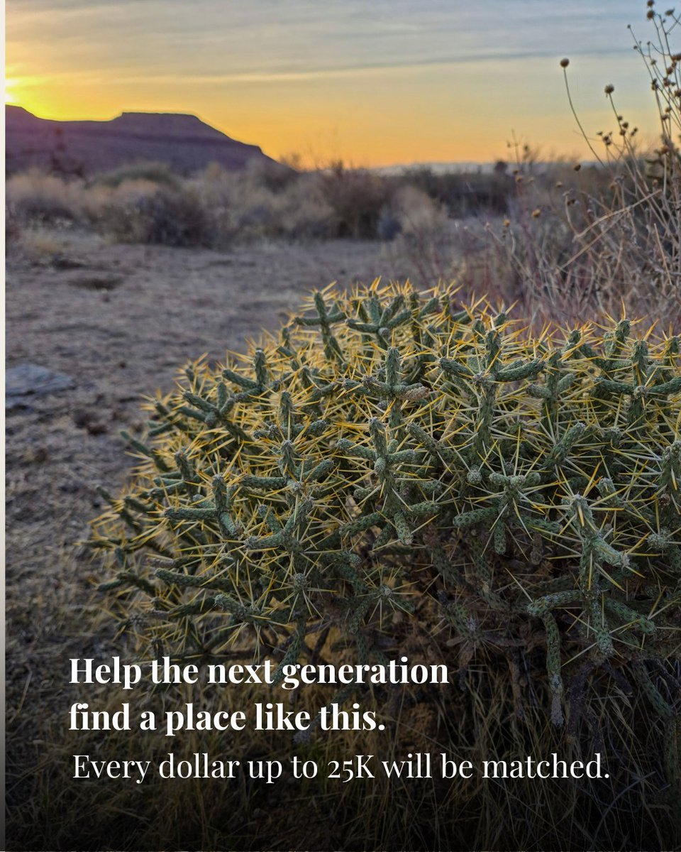 Outdoors Empowered tweet media