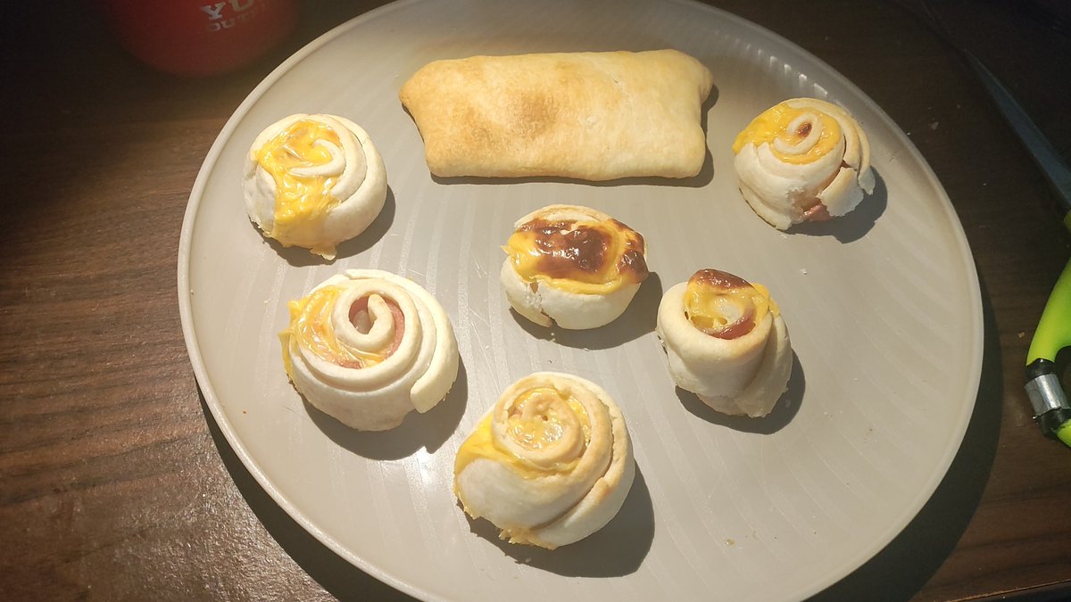 LOOK I COOKED SOEMTHIMG!!!!!

is blogy an chee wraped ins pie dough an cooked!!!!