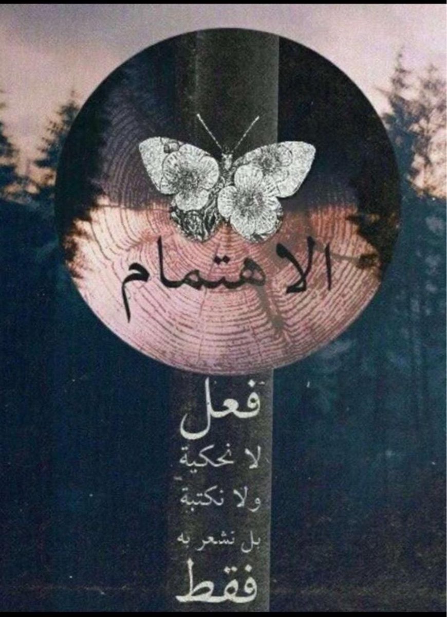 #نجوم_الليل_للدعم