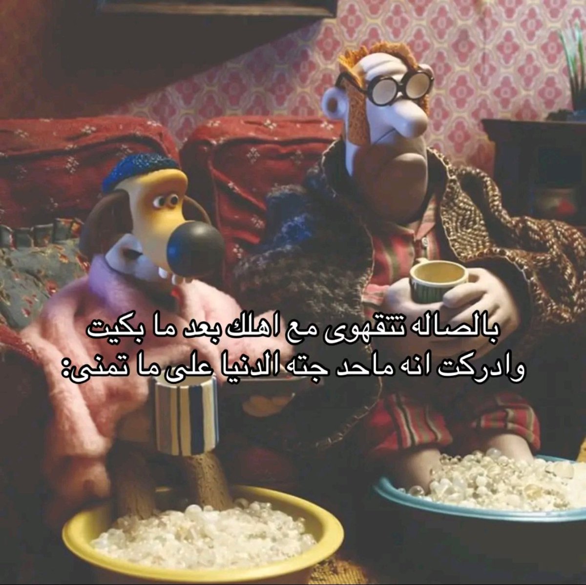 seny0ure's tweet image. 