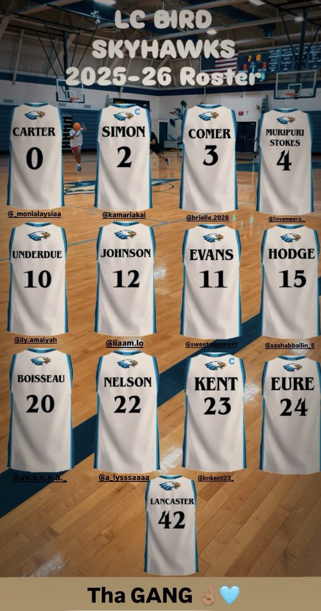 Meet your 2025-26 Lady Skyhawks!!!