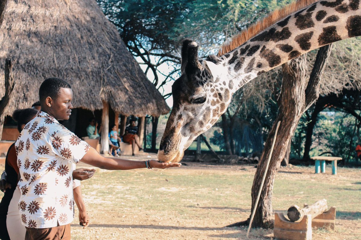 KaribuTravel's tweet photo. OPINION: Africa’s tourism boom will depend on free Intra-African Travel

 “Today, it is often easier for a Ugandan to fly to Dubai than to visit Algeria or Angola. Many African countries still require cumbersome visa paperwork, long processing times, or expensive fees sometimes more than the cost of a domestic flight.” #KaribuTravels 

Read more here: https://t.co/eDGlYhuZcG