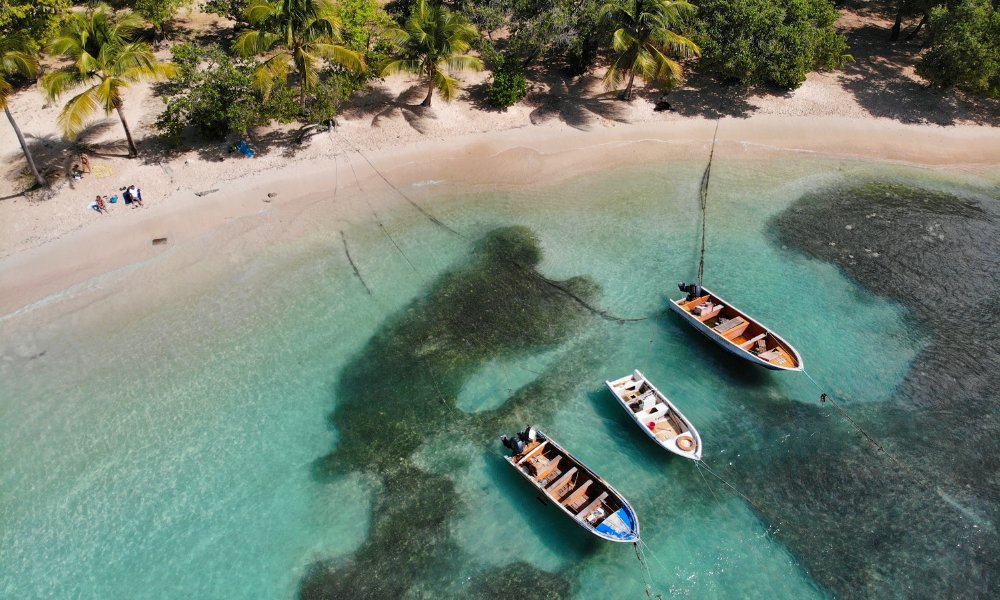 📣 Nouvelle offre à pourvoir - Radiologue (H/F) - Guadeloupe

Cabinet situé au centre de la Guadeloupe recherche un médecin radiologue (H/F) pour rejoindre une équipe de 4 radiologues associés déjà en activité. 

Postulez vite par ici 👉annonces-medicales.com/job/id/4857809