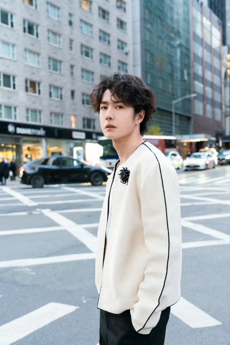 王一博💚 平安喜乐 ✨📍AK(MTJJ) (@shihTzu_YB) / Posts / X