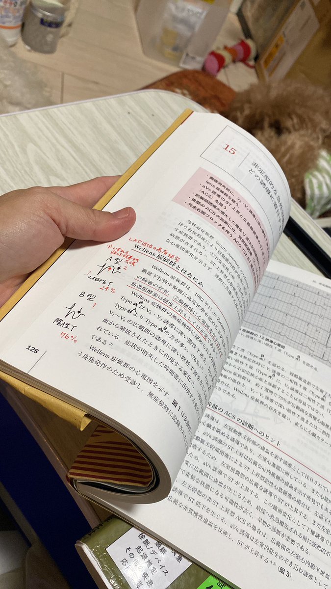 教えていただき、皆さんにだいぶ遅れて正誤表と皆さんのアドバイス書き込みました💓ありがとうございます