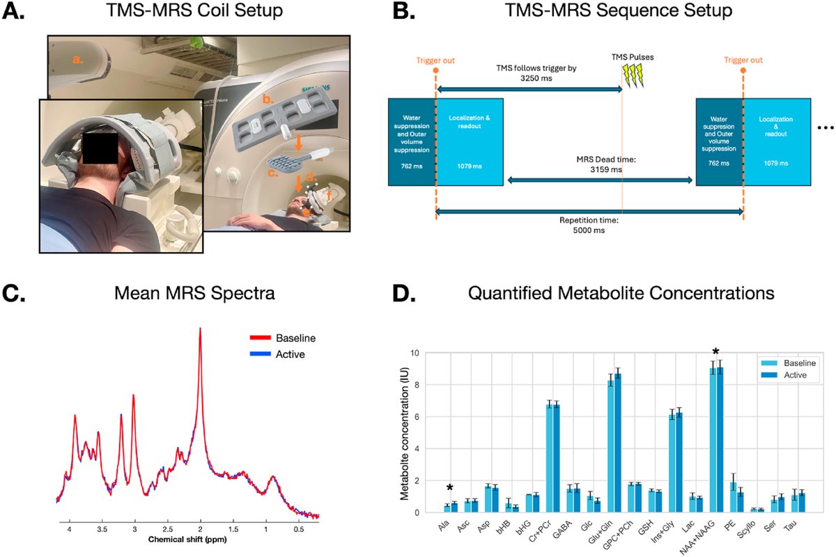 Brain Stimulation tweet media