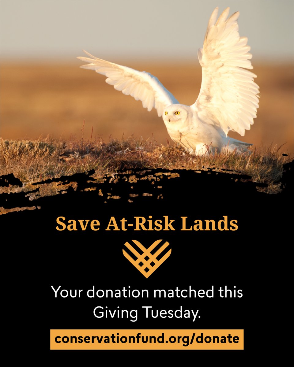 The Conservation Fund tweet media