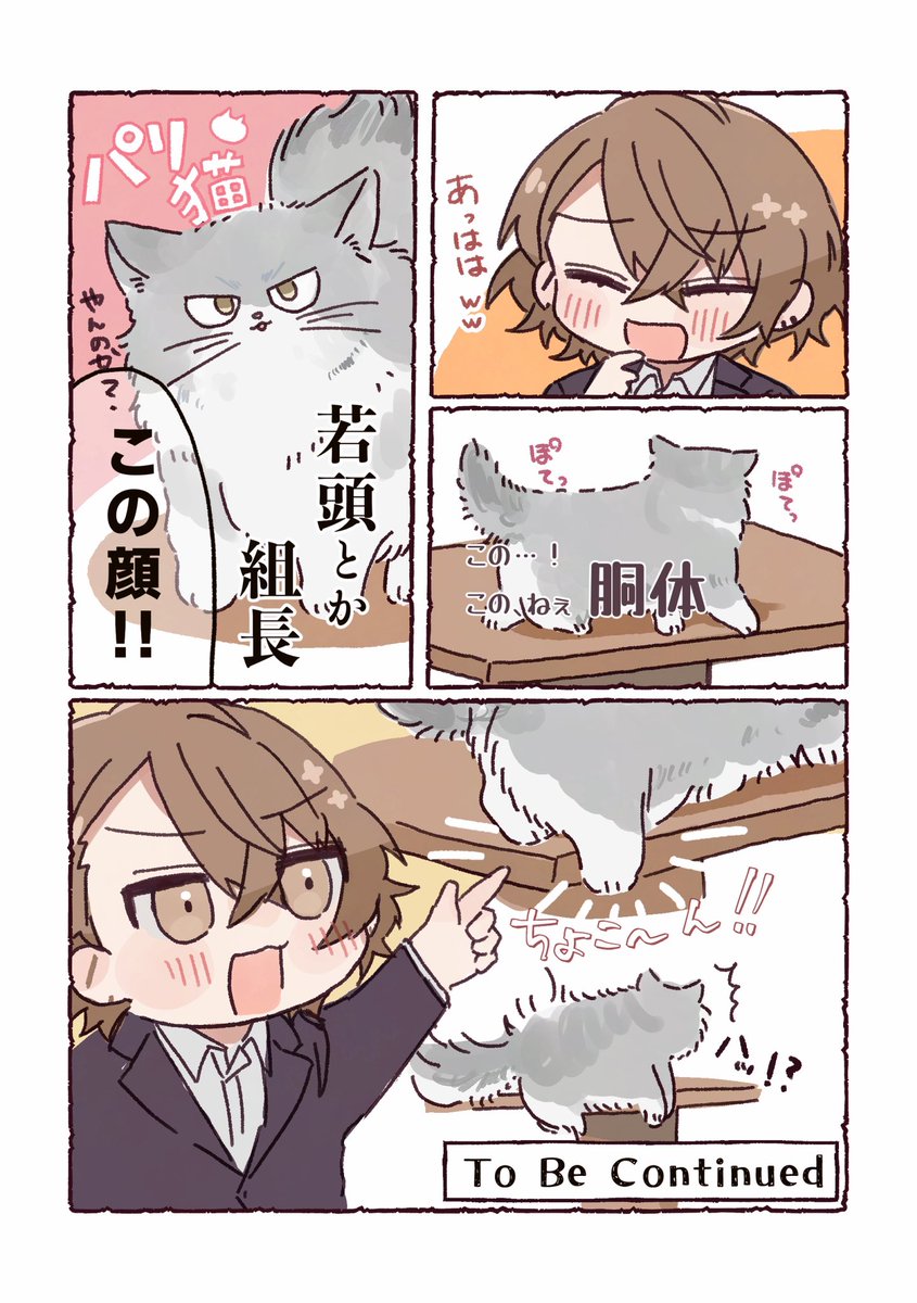 ausadayo's tweet image. パリの猫🐈
#加画美