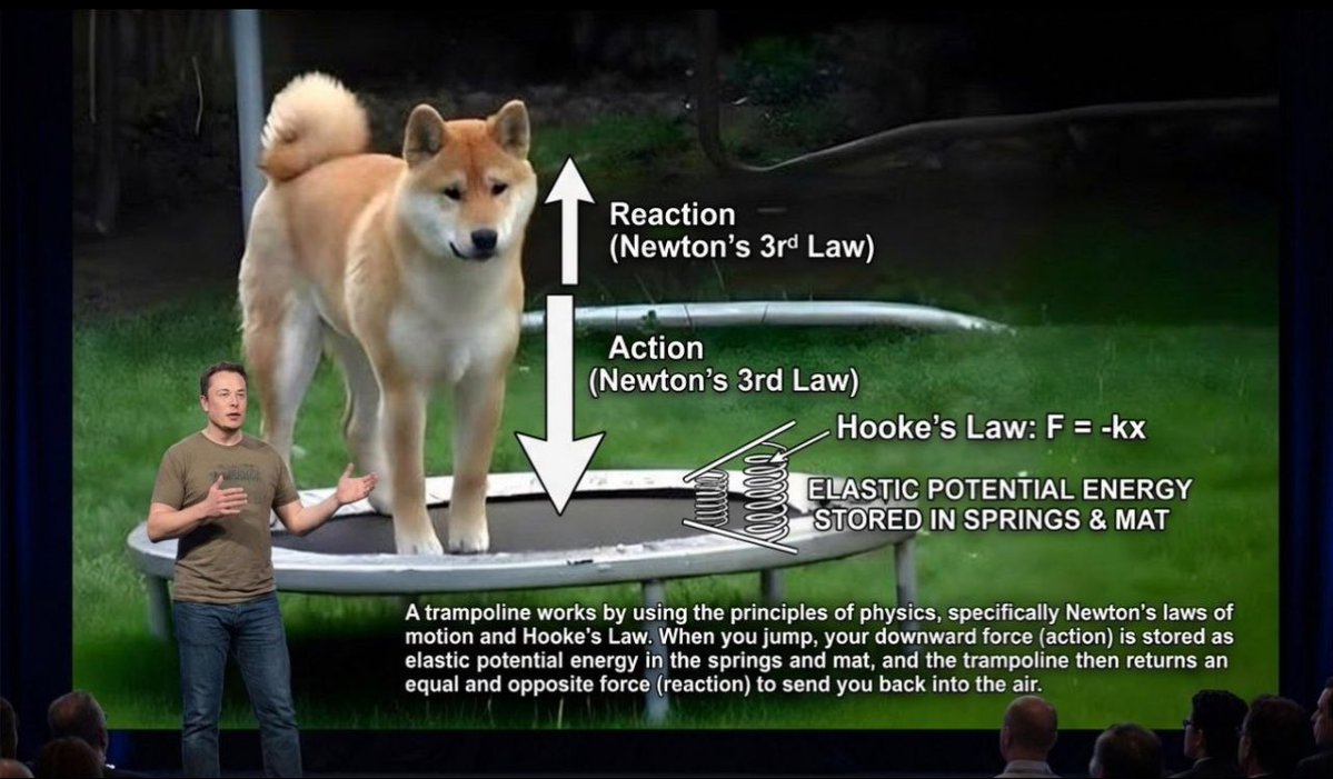 Day 39 of asking <a href="/elonmusk/">Elon Musk</a> for $69.420 feels cosmic today, so here’s the prophecy drop, powered by the December Cold Moon. Elon… the next full moon of 2025 lands very sewn. They call it the Cold Moon (pls) the moon of endings, awakenings, and stepping into the next chapter.