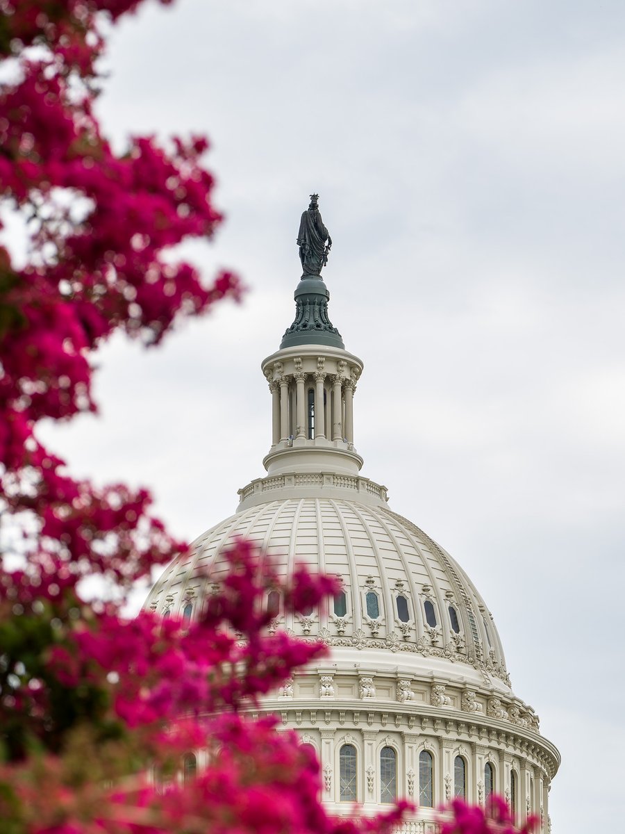 Architect of the Capitol (AOC) tweet media