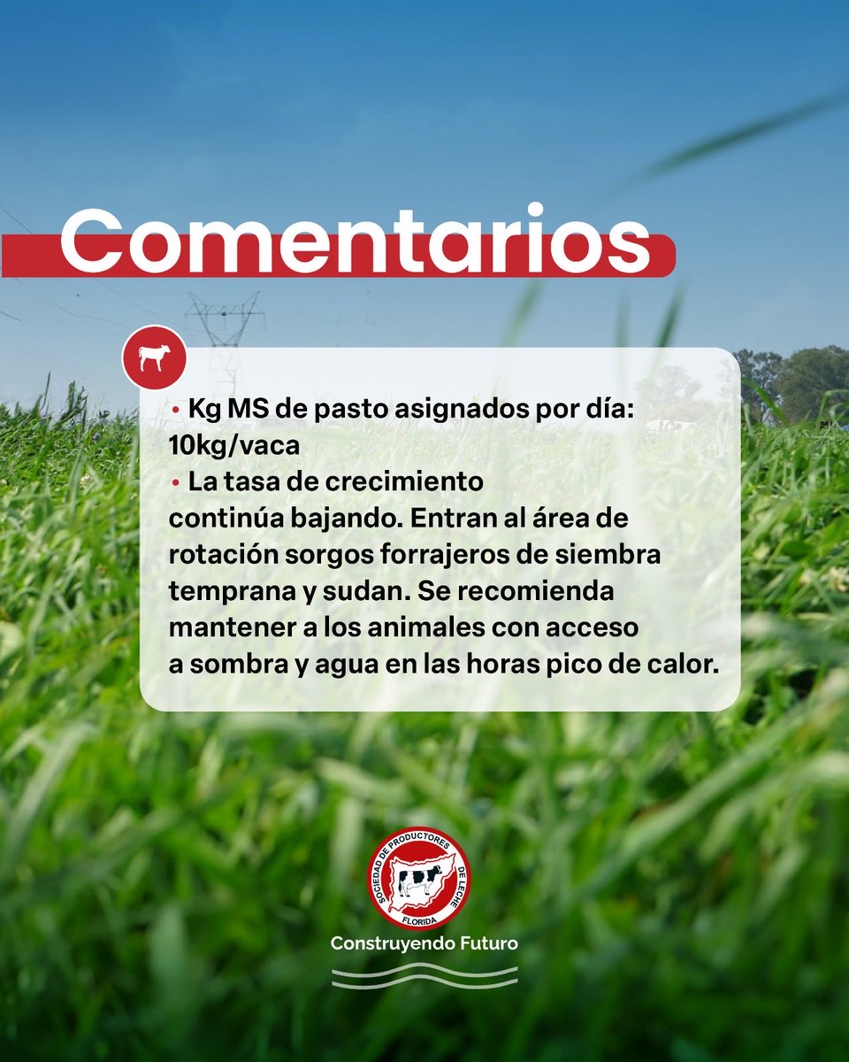 _splf's tweet image. Info #planverde
Gestión del pasto 🌱
🗓️ 15/11 al 28/11

#splf #servicios #planverde #propasto