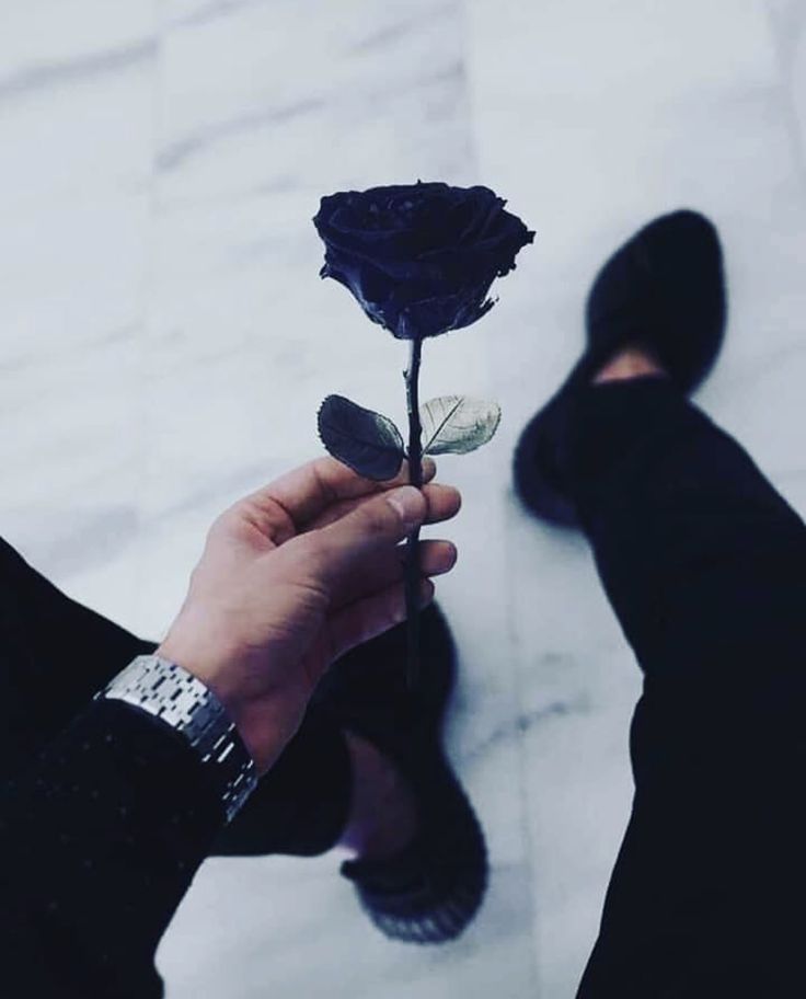 Δεν είναι κακό το να χάσει κάποιος κάτι που είχε.
Κακό είναι που το χάνει γιατί δεν το εκτίμησε όσο έπρεπε, και για αυτό το έχασε, χωρίς να υπάρχει η πιθανότητα να το βρει ξανά.
Γιατί απλά,
 τα καλά πράγματα σε αυτή την ζωή δεν μας εμφανίζονται δύο φορές..