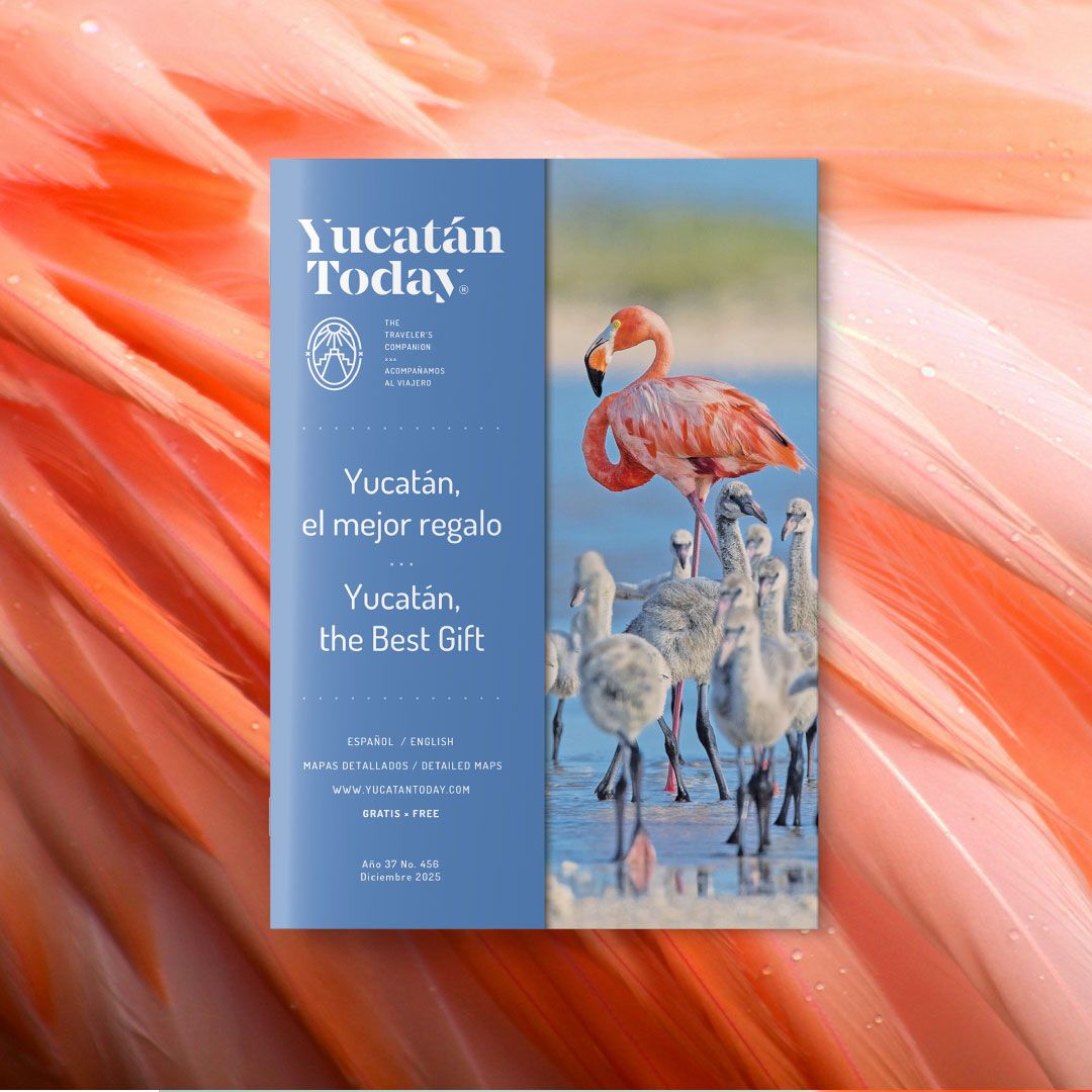 Yucatán Today tweet media