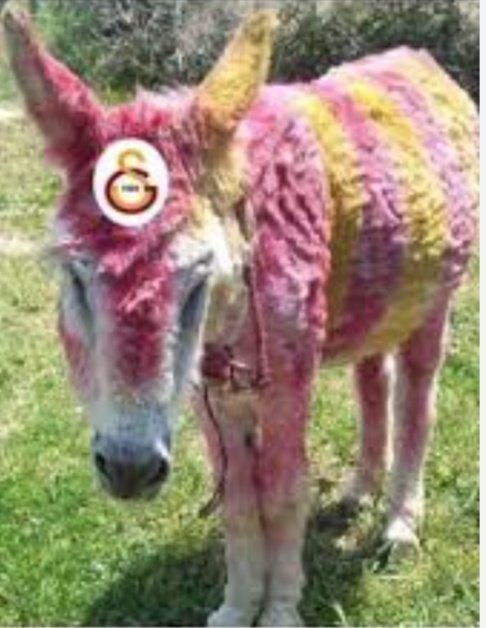 mete asb (@meteasbucvs) on Twitter photo 