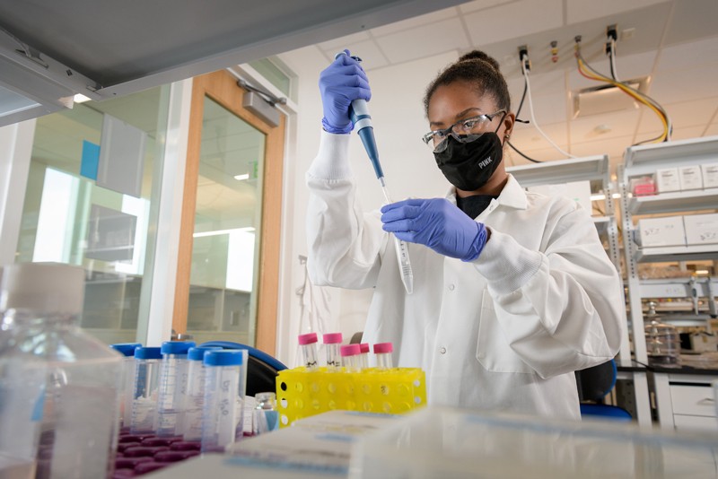 Biomedical Engineering @ UDEL tweet media