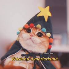 Ya es diciembre, temporada oficial de películas navideñas, momentos incomodos y decisiones cuestionables

Procederé a alcoholizarme como cada año 😌✨🥂

wiwichu a mericrisma para todos 🫵🫰