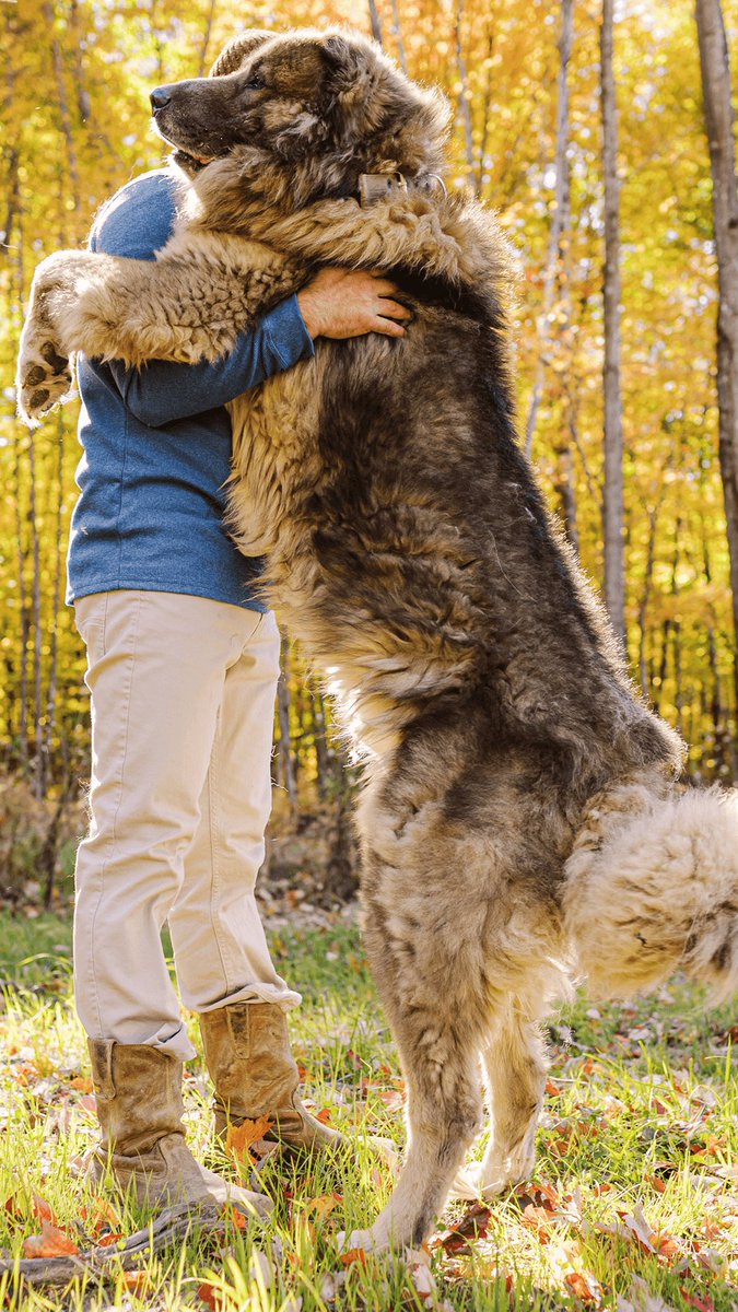 itsgary👽.eth tweet media