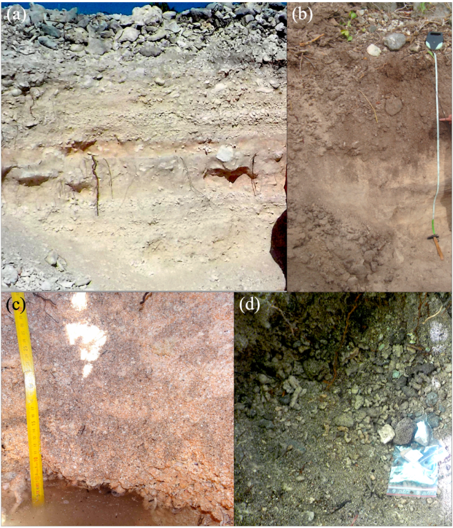 Geosciences_OA's tweet image. ✨ #PaperPromotion

🏔  Holocene Depositional History of Low-Lying Reef-Rim Carbonate Islets of Fakarava Atoll, Northwest Tuamotu, Central South Pacific

✍️ Lucien F. Montaggioni, et al.

➡️ brnw.ch/21wY0Id 

👁️Views: 3948

#Atoll #Holocene #IsletDeposition