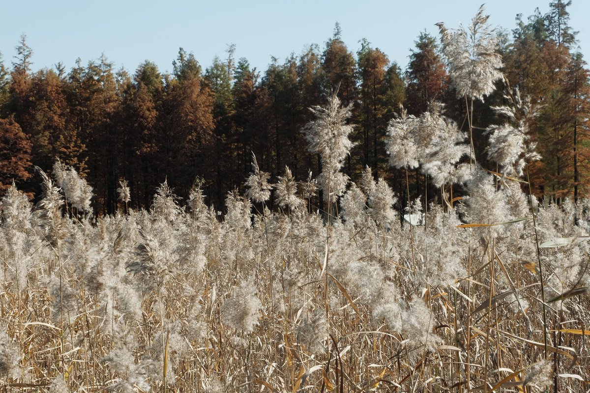十三月审美积累